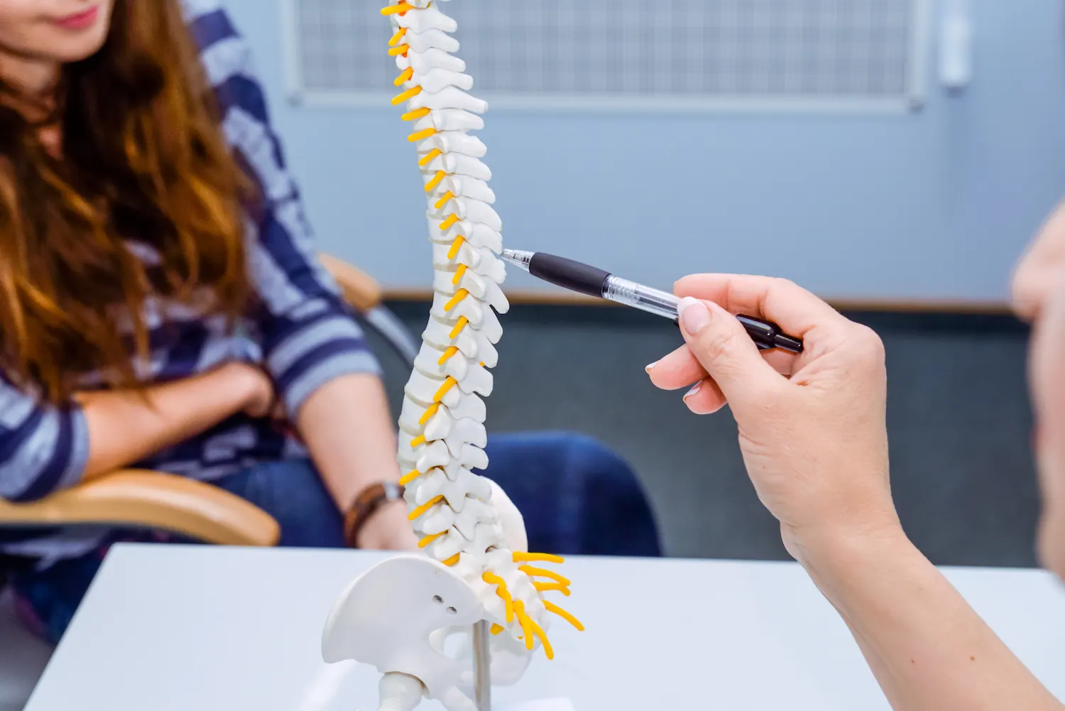 a chiropractor demo the spinal model to her patient